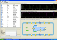 Improved quality of the models in the CellML model repository thanks to the curation team