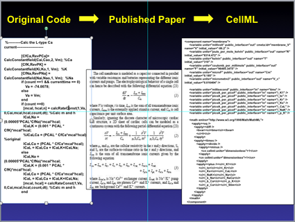 Request for model translations into CellML