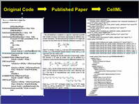 Request for model translations into CellML