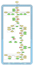 Working Teusink et al. 2000 Glycolysis Model