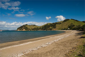 Waiheke beach