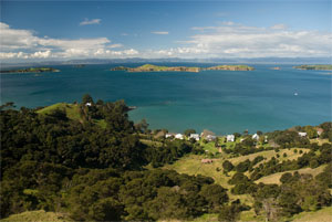 Waiheke view