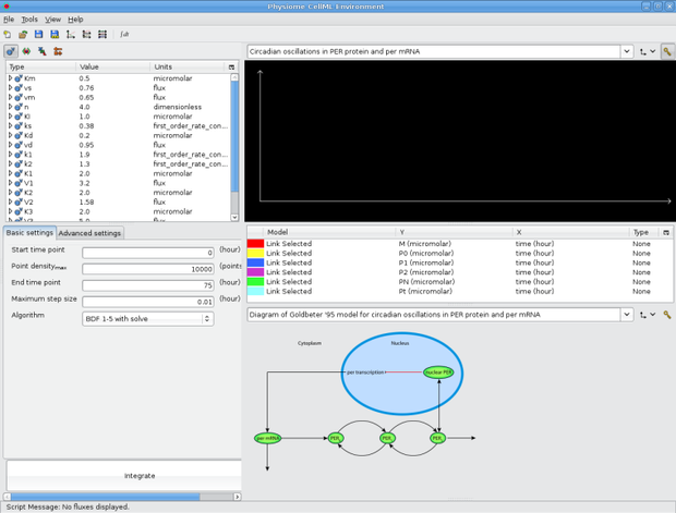 Goldbeter 1995 session with SVG diagram