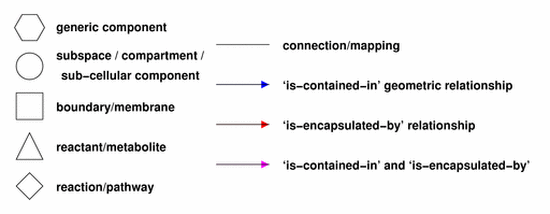 a key to the CellML rendering conventions