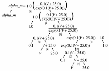the tree form of alpha_m equation